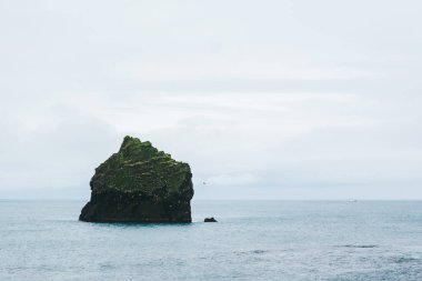 Atlantik Okyanusu, İzlanda 'nın sularında yosun kaplı yalnız bir kaya parçası. Minimalist kavram