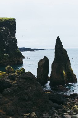 Atlantik Okyanusu kıyısındaki İzlanda 'da kayalar, taşlar ve tepeler. Yalnız martılar bir kayanın içinde oturuyor ve karanlık suyun üzerinde uçuyor.