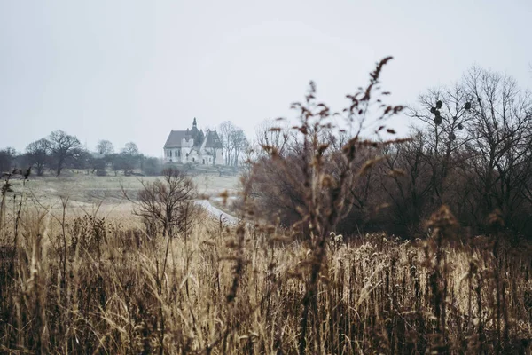 Dry winter field and abandoned half ruined ancient church in Lviv Region, Ukraine. Dark gothic building — 스톡 사진