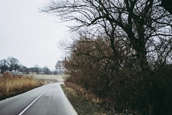 Cores dessaturadas pálidas de uma estrada de aldeia perto de Lviv, Ucrânia. Ramos de árvores secas e igreja abandonada no fundo. Atmosfera cinematográfica gótica — Fotografia de Stock
