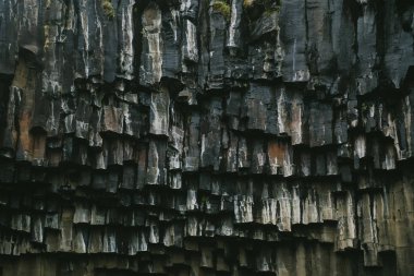 İzlanda 'da Svartifoss şelalesinin bazalt sütunları