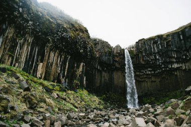 Güçlü Svartifoss Şelalesi İzlanda 'da