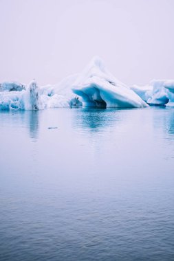 İzlanda 'daki Jokulsalron buzul gölünün sularına mavi buzullar yansıdı.