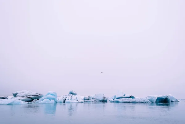 Птица Пролетает Над Лагуной Голубых Ледников Исландии — стоковое фото