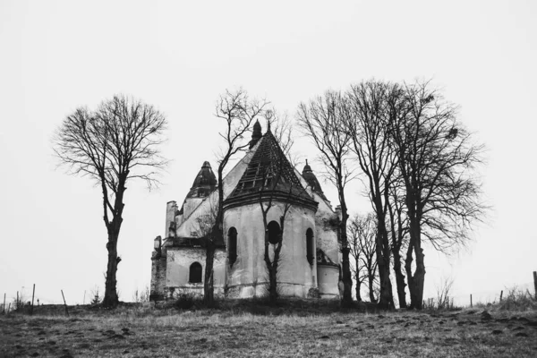 Imagem Preto Branco Catedral Abandonada Cercada Por Árvores Secas Perto — Fotografia de Stock