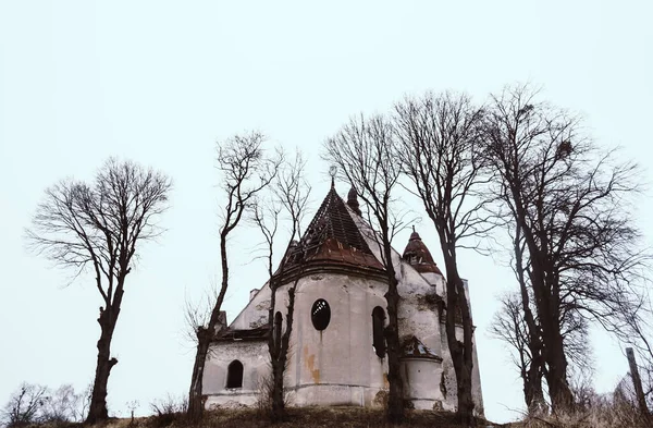 Opuszczona Katedra Otoczona Suchymi Drzewami Pobliżu Lwowa Ukraina — Zdjęcie stockowe