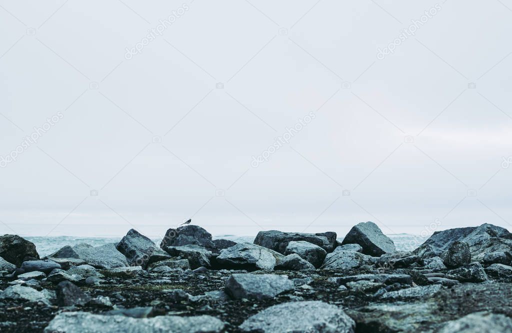 Lonely bird on the stone against calm grey horizon