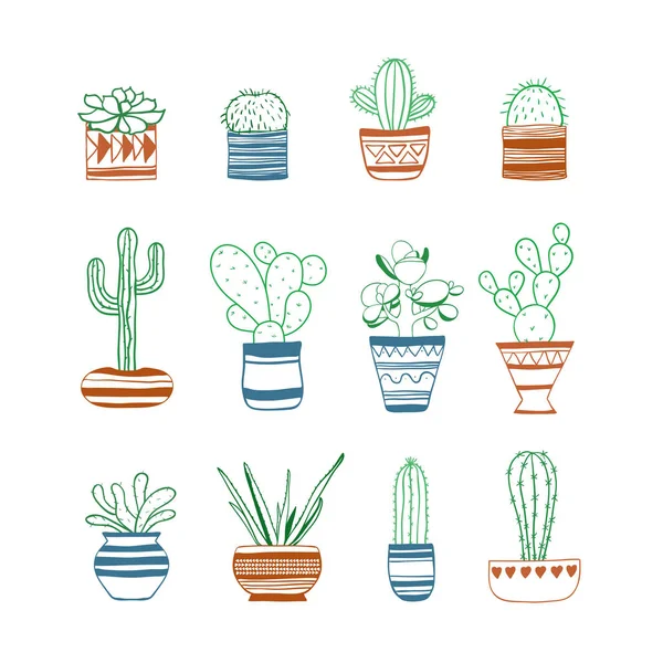 Renkli kontür kaktüsler kümesi. Vektör
