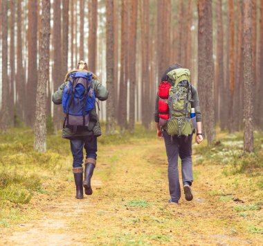 Genç erkek ormanda hiking 