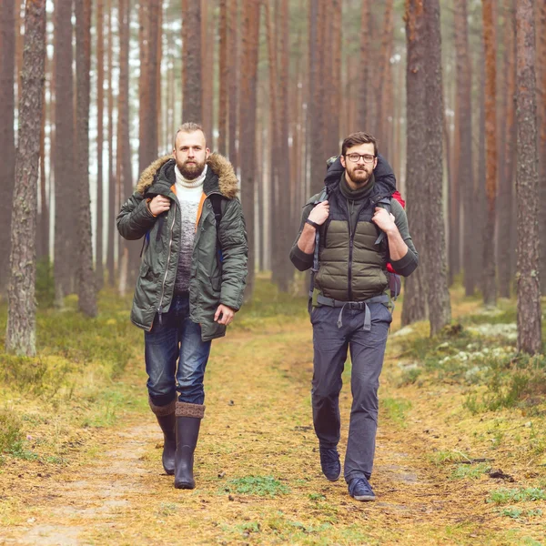 Young men hiking in forest — Stock Photo, Image