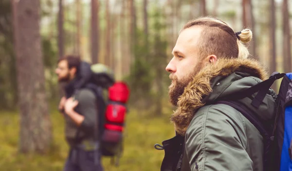 Junge Männer wandern im Wald lizenzfreie Stockfotos