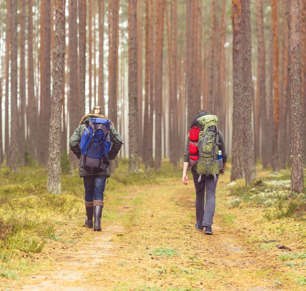 Giovani escursionisti nella foresta — Foto Stock
