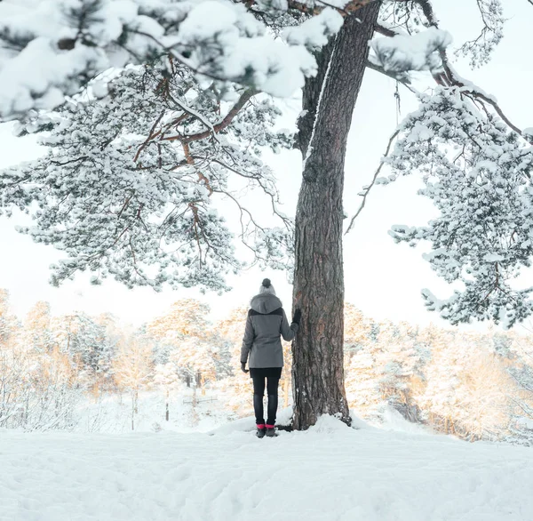 Ung kvinna i vackra vinter skog — Stockfoto