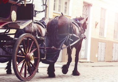 orse and beautiful old carriage clipart