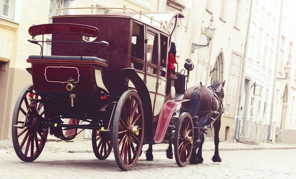 Orse och vackra gamla vagn — Stockfoto