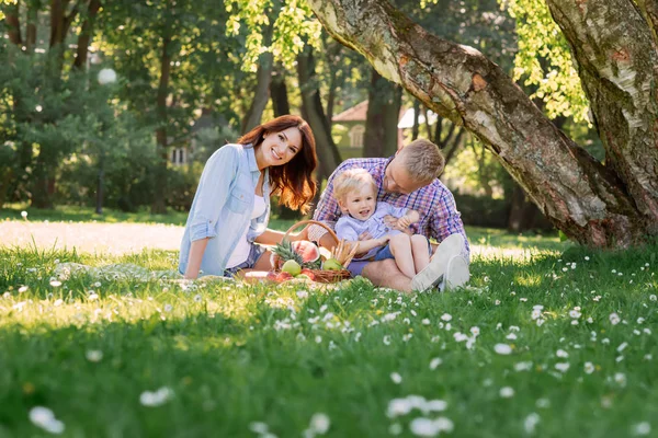 Happy family on picnic — Stock Photo, Image
