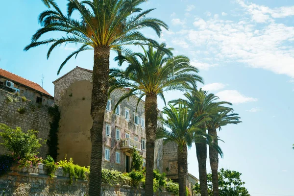 Old town of Korcula — Stock Photo, Image