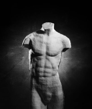 İnsan erkek vücudunun manken