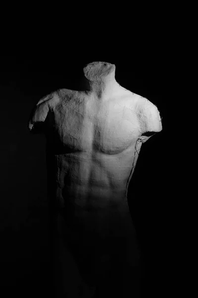 Schaufensterpuppe des menschlichen männlichen Körpers — Stockfoto