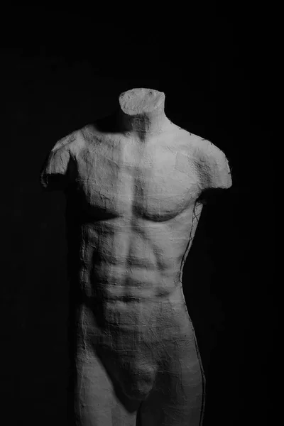 İnsan erkek vücudunun manken — Stok fotoğraf