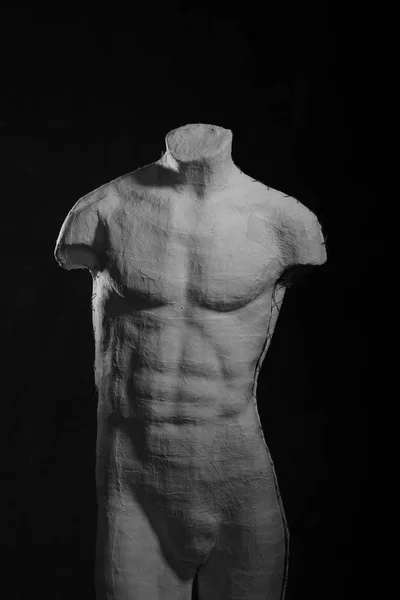 Maniquí del cuerpo humano masculino — Foto de Stock