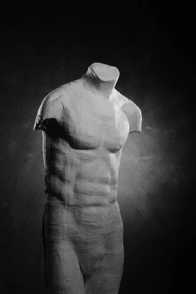 Manikin of human male body — Stock Photo, Image