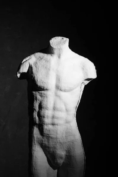 Манікіна людського чоловічого тіла Стокова Картинка