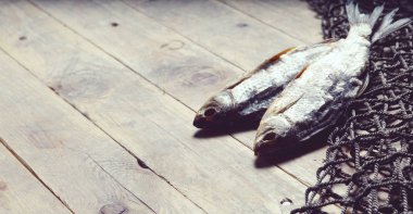 balık ağları ve balıklar