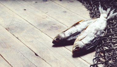 balık ağları ve balıklar