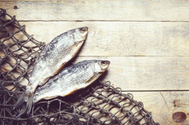 balık ağları ve balıklar