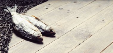 balık ağları ve balıklar