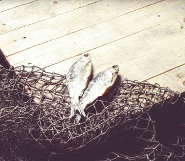 balık ağları ve balıklar