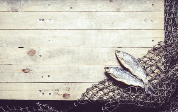 Рыболовные сети и рыба Стоковая Картинка