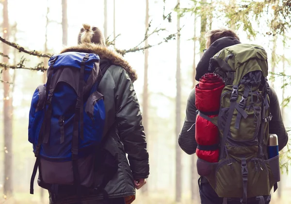 Två män vandring i skogen — Stockfoto