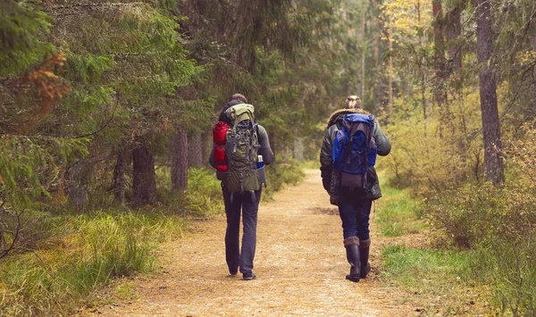 Twee mannen wandelen in het bos — Stockfoto