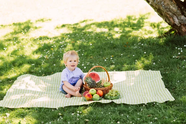 Petit garçon avec panier de fruits — Photo