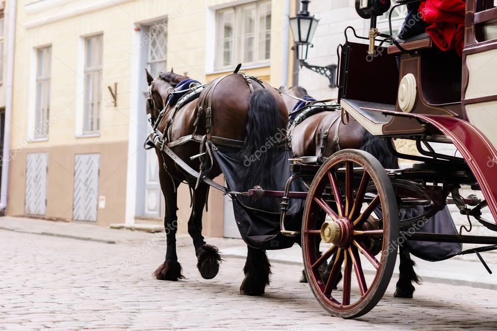 orse and beautiful old carriage