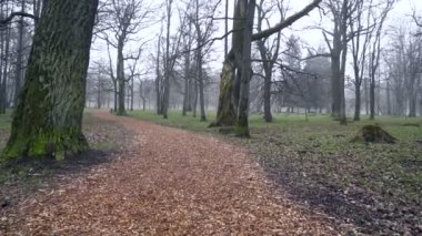 Sabah, Tallinn Kadriorg parkta sonbahar yaprakları ile yol.