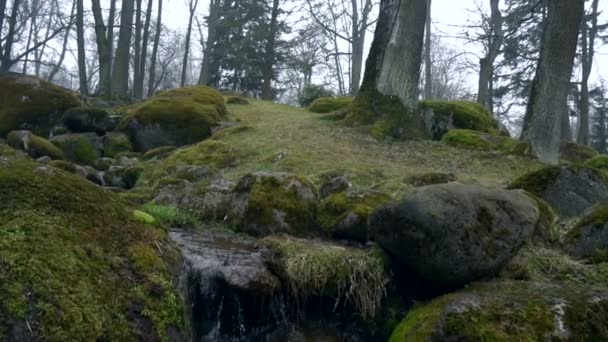 Вид на ручей в парке Кадриорг, Таллинн . — стоковое видео