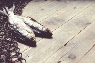 balık ağları ve balıklar