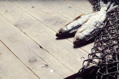 balık ağları ve balıklar