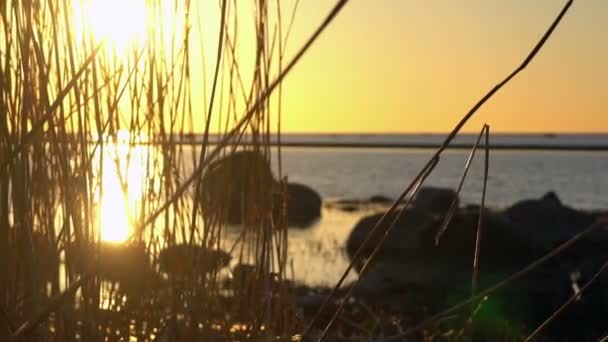 Vue pittoresque sur la mer au coucher du soleil — Video