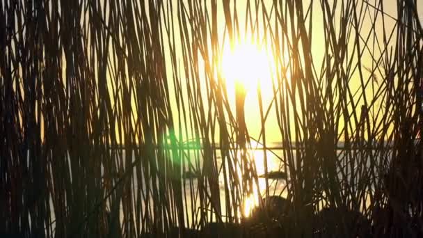 Pittoresk utsikt över solnedgången havet — Stockvideo
