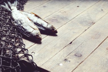 balık ağları ve balıklar