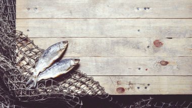 balık ağları ve balıklar