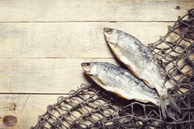 balık ağları ve balıklar