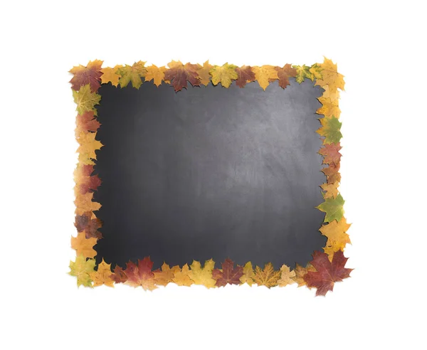 Blackboard with frame of leaves — Stock Photo, Image