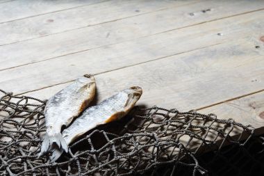 balık ağları ve balıklar