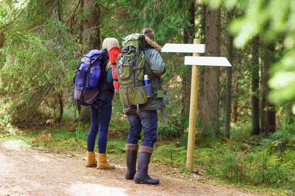 Young friends walking in forest — Stock Photo, Image