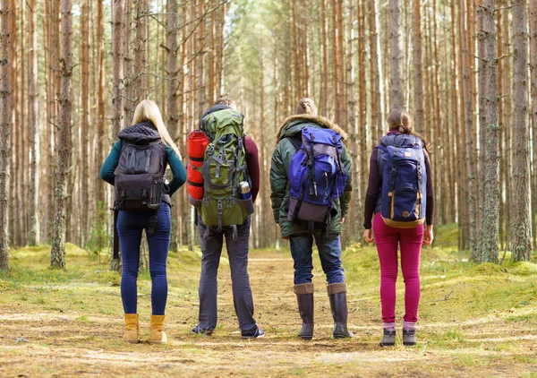 Jonge vrienden wandelen in het bos — Stockfoto